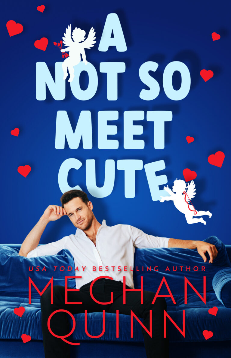 Reviews A Not So Meet Cute by Meghan Quinn